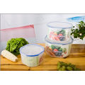 Hot Sale Plastic Food Storage Container